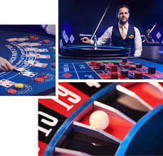 Meja live No Commission Baccarat dengan dealer di studio dewa77